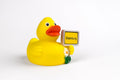 Badeente Oldenburg